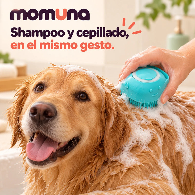 Cepillo con shampoo sobre el pelaje húmedo de un perro