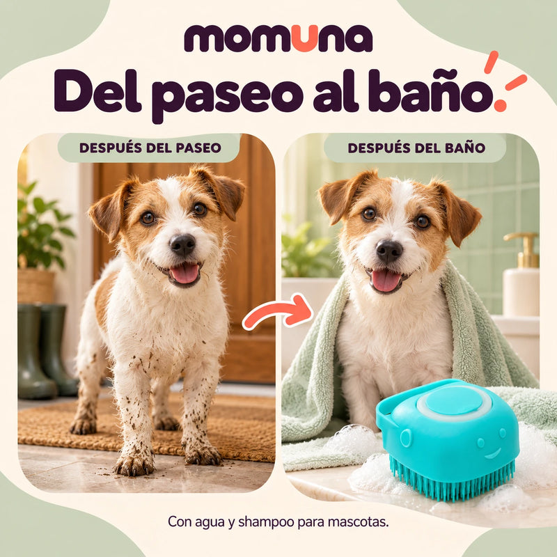 El mismo perro después del paseo y después del baño (ilustrativo)